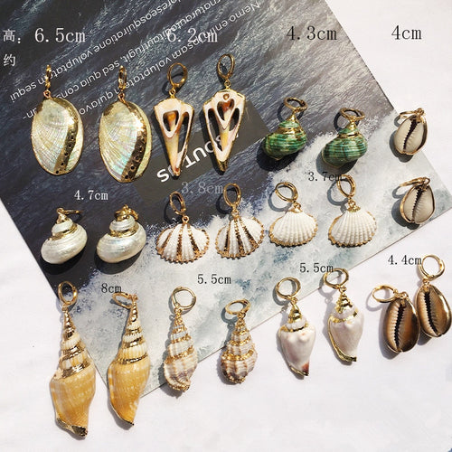 Natural Shell  Earrings