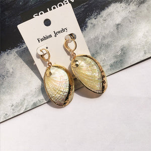 Natural Shell  Earrings