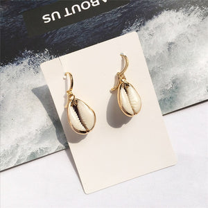 Natural Shell  Earrings